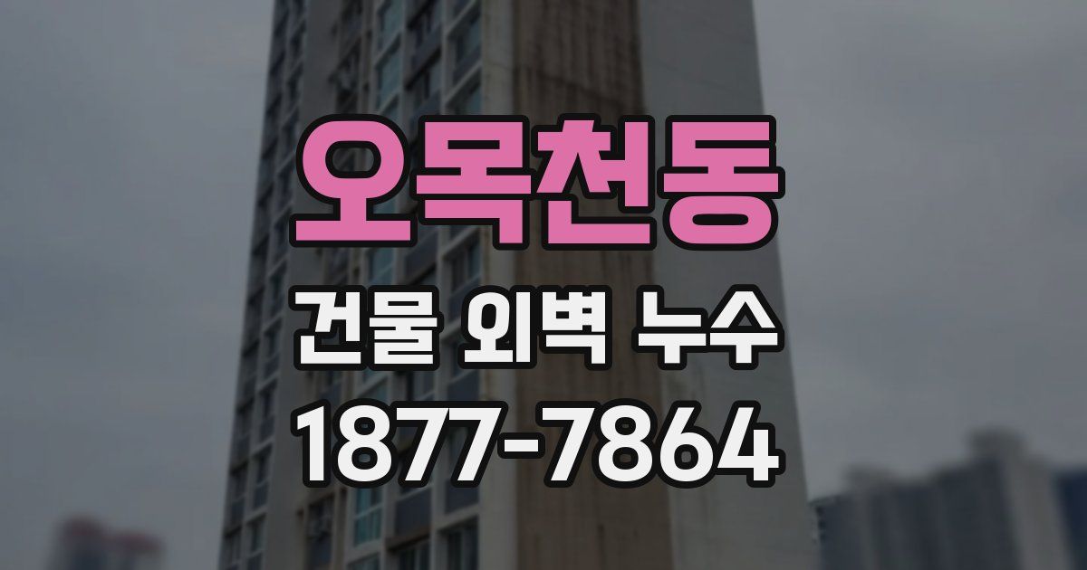 오목천동 건물 외벽 누수