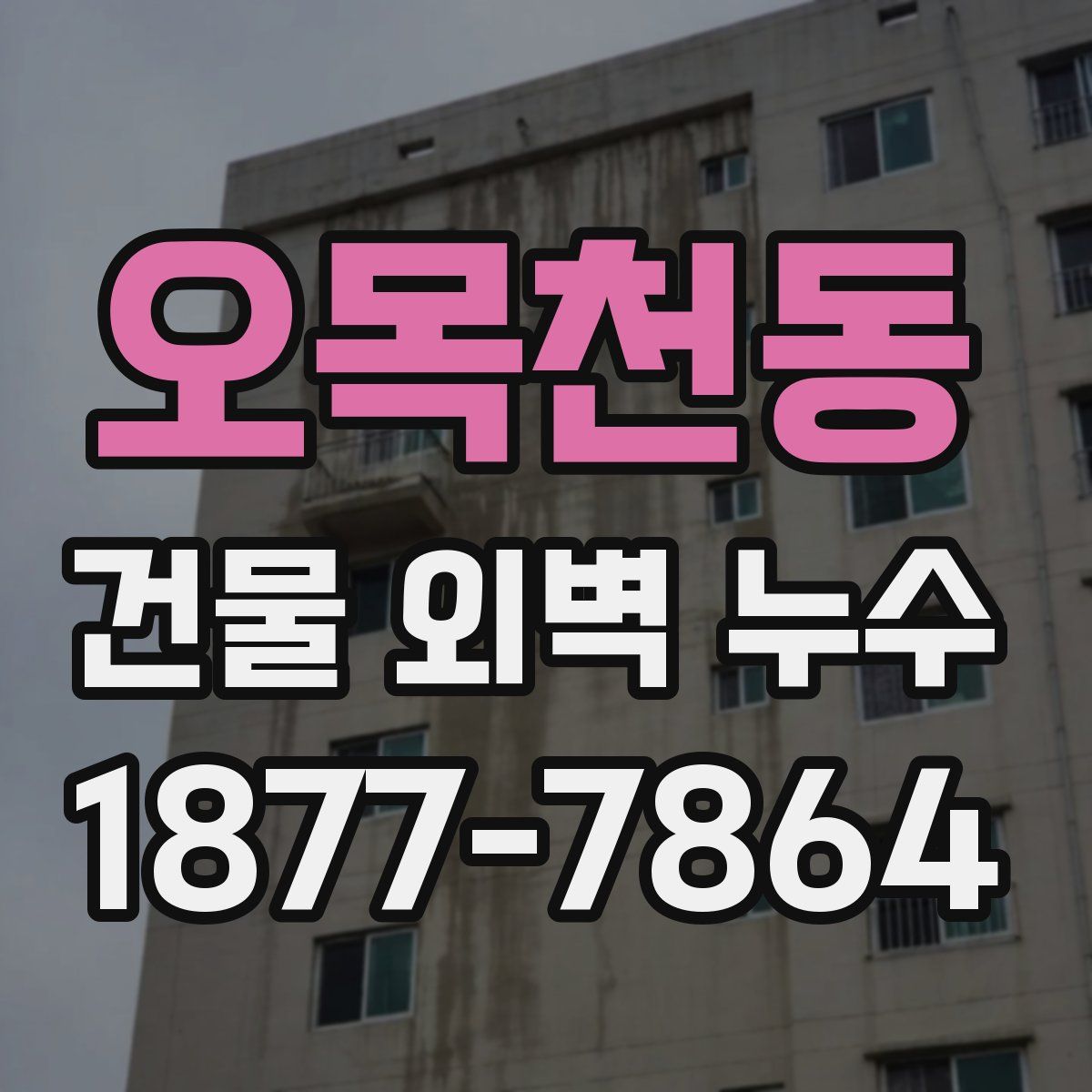 오목천동 건물 외벽 누수