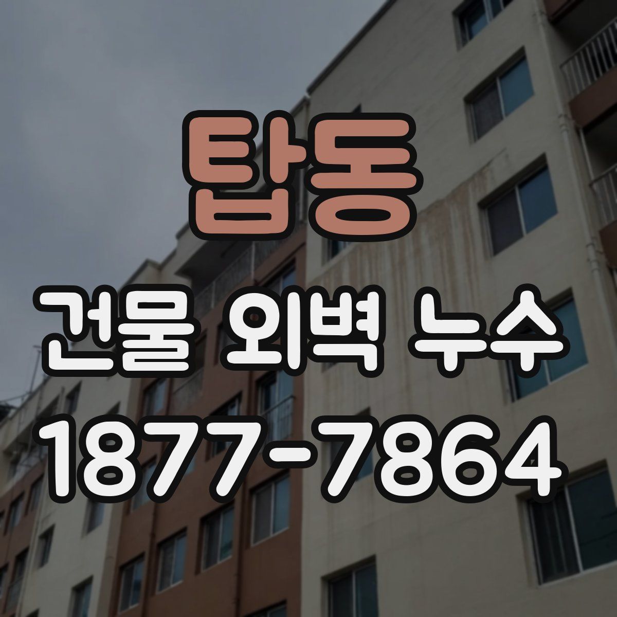 탑동 건물 외벽 누수