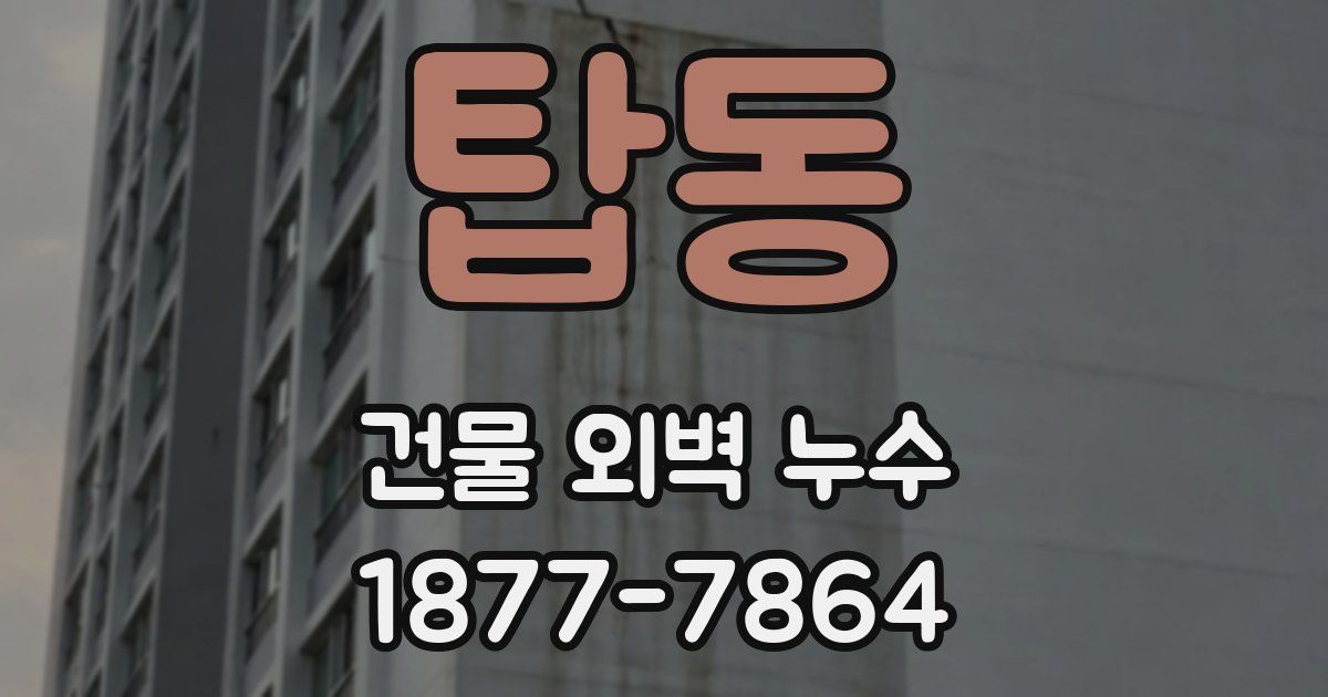 탑동 건물 외벽 누수