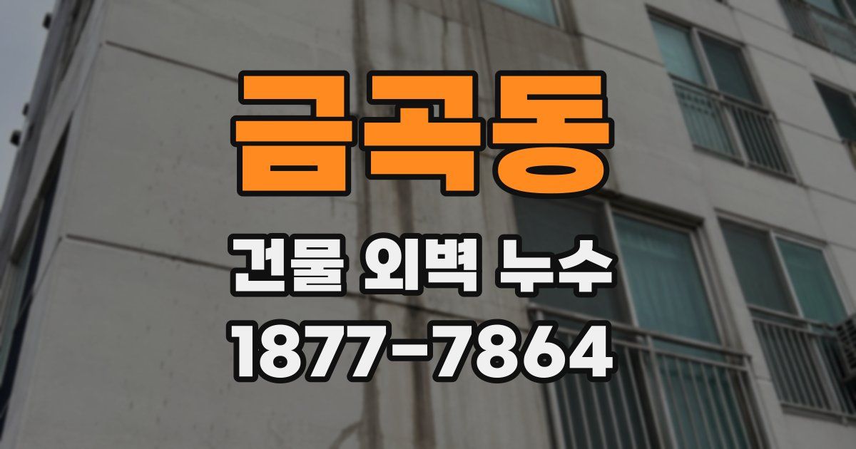 금곡동 건물 외벽 누수