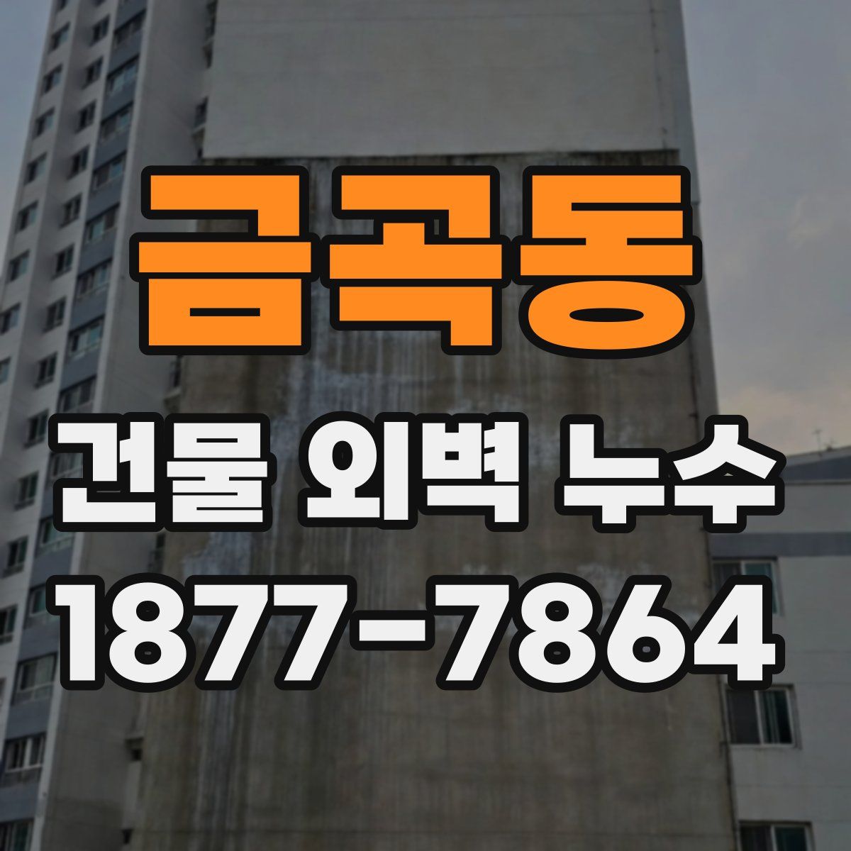 금곡동 건물 외벽 누수