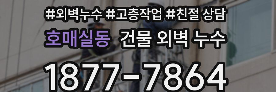 호매실동 건물 외벽 누수