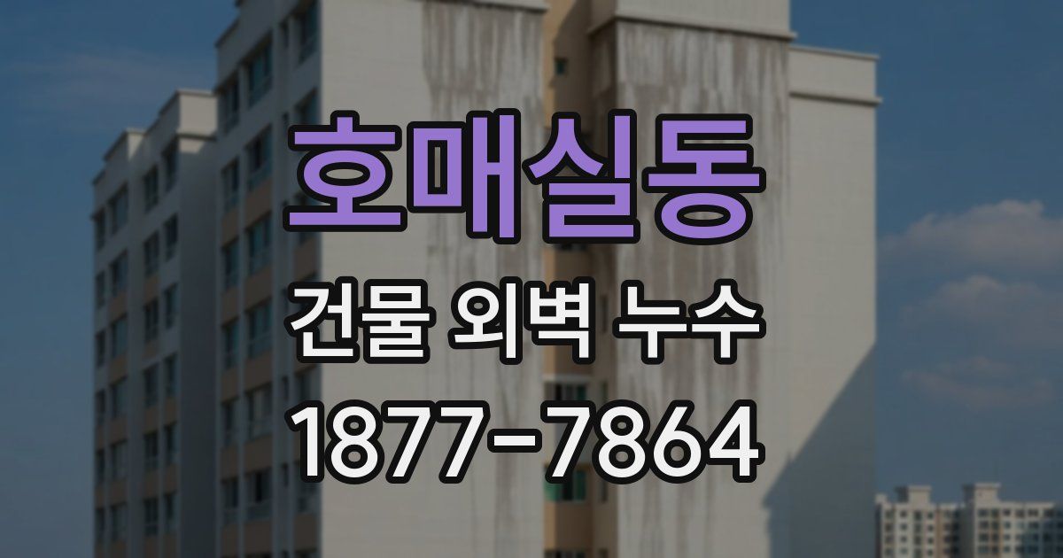 호매실동 건물 외벽 누수