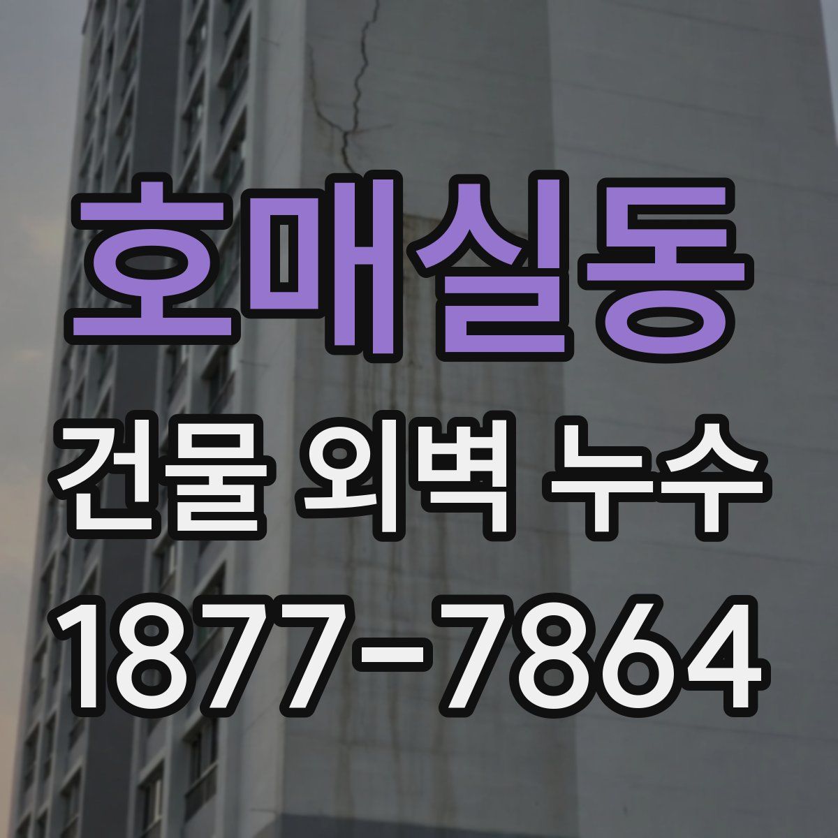 호매실동 건물 외벽 누수