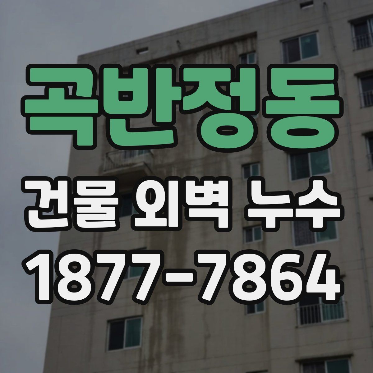 곡반정동 건물 외벽 누수 점검으로 확인하는 방수 상태