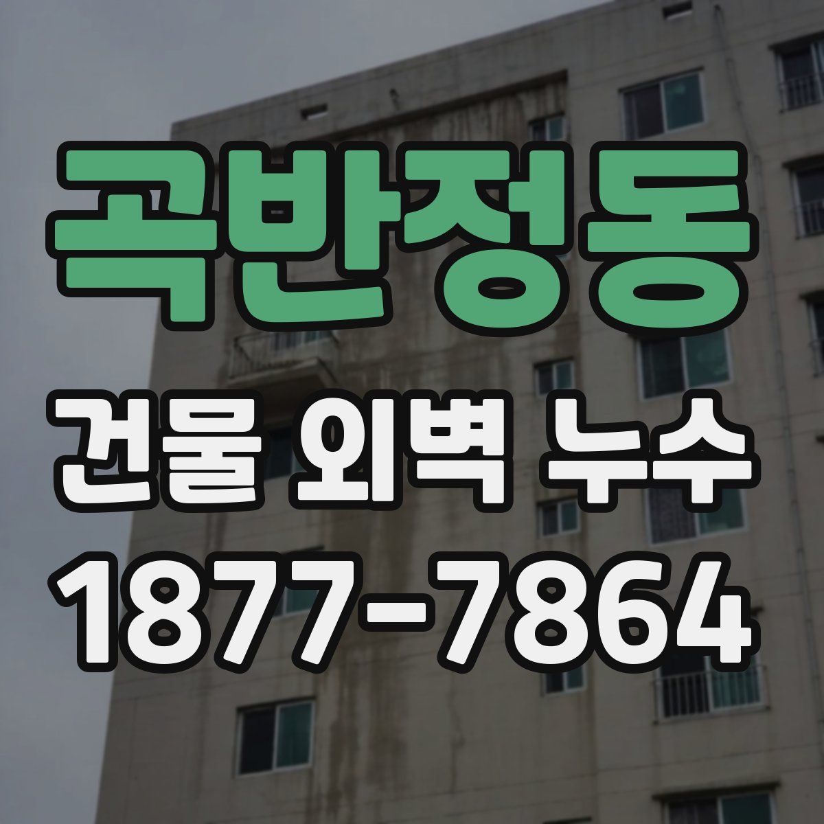 곡반정동 건물 외벽 누수