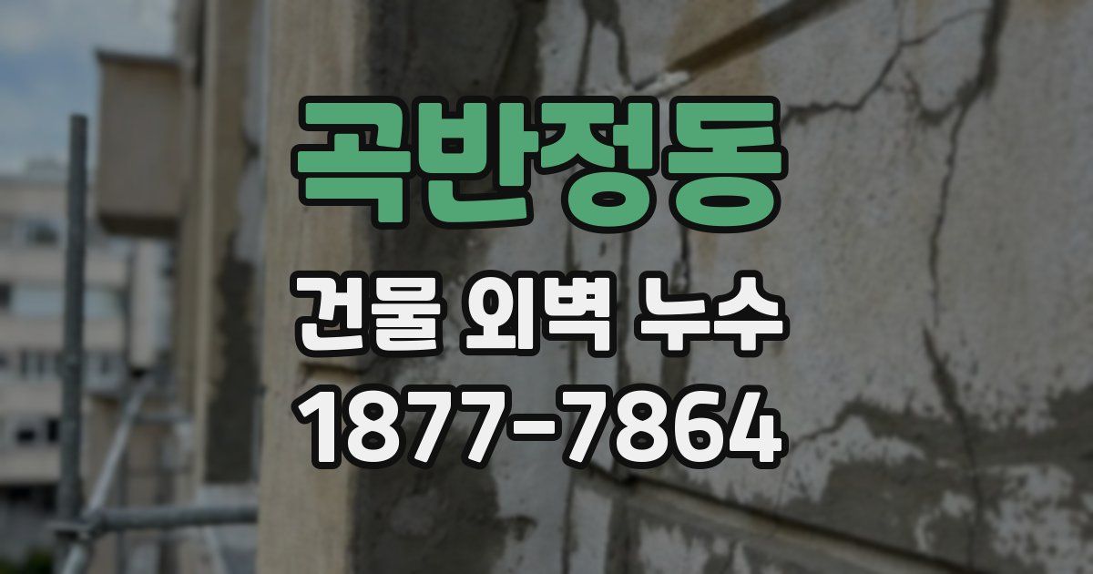 곡반정동 건물 외벽 누수
