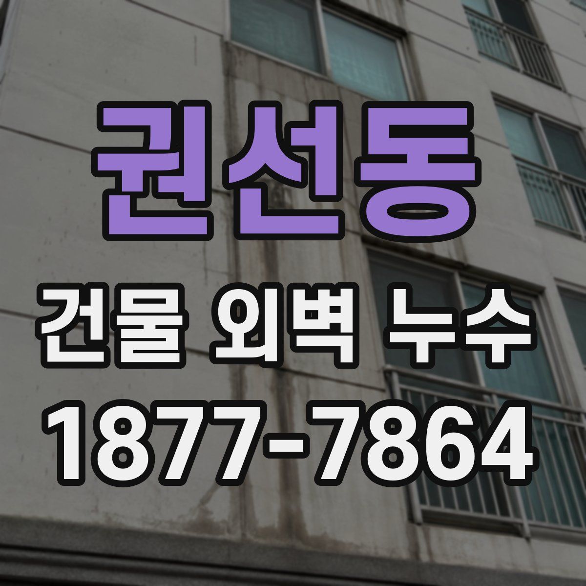 권선동 건물 외벽 누수