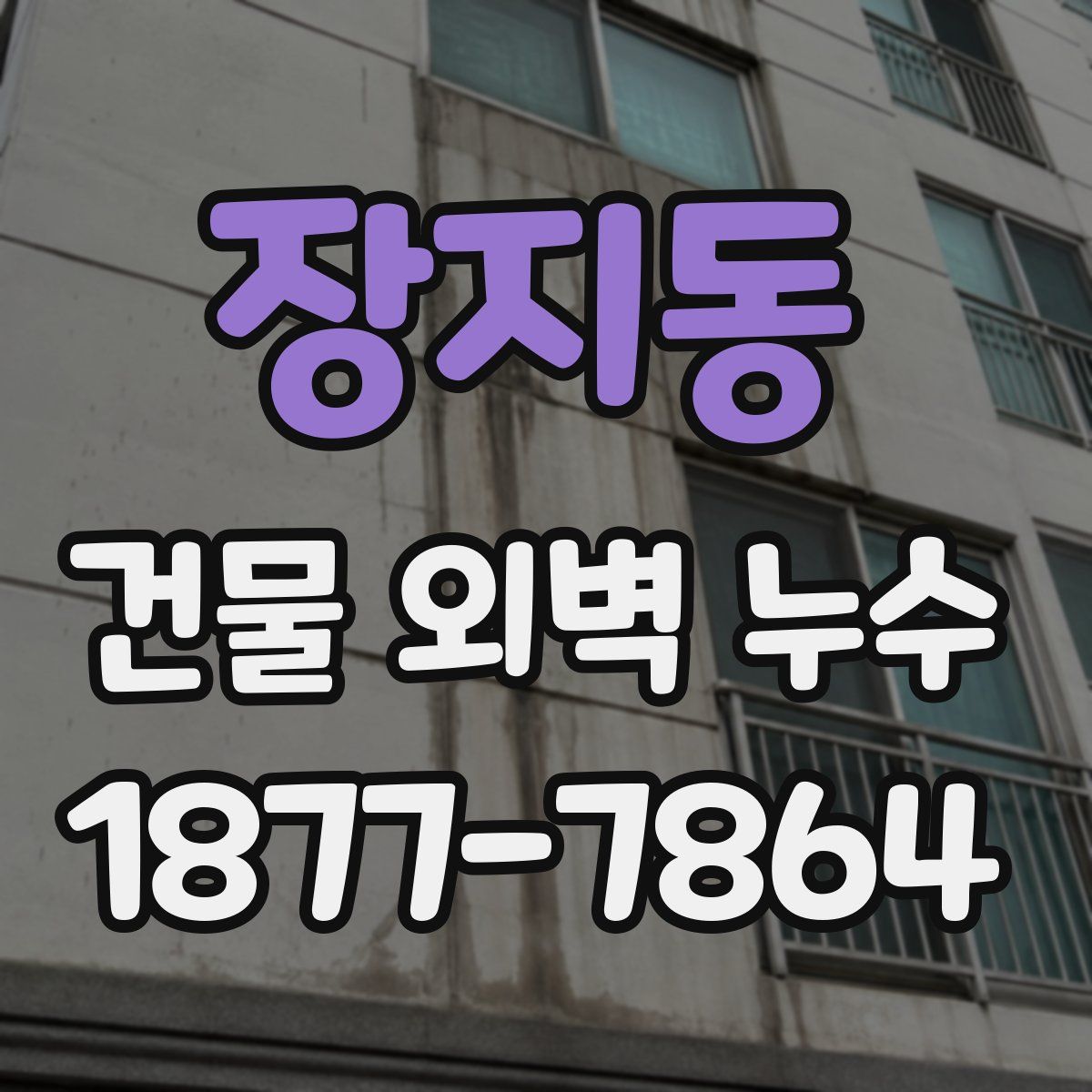 장지동 건물 외벽 누수