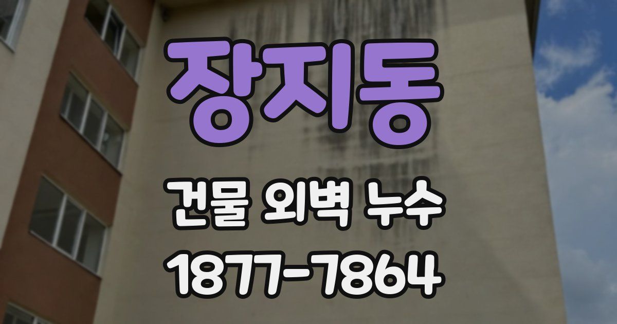 장지동 건물 외벽 누수