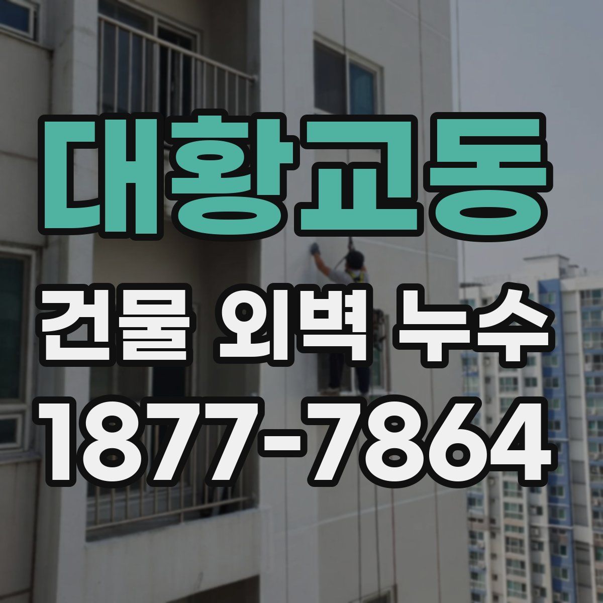 대황교동 건물 외벽 누수