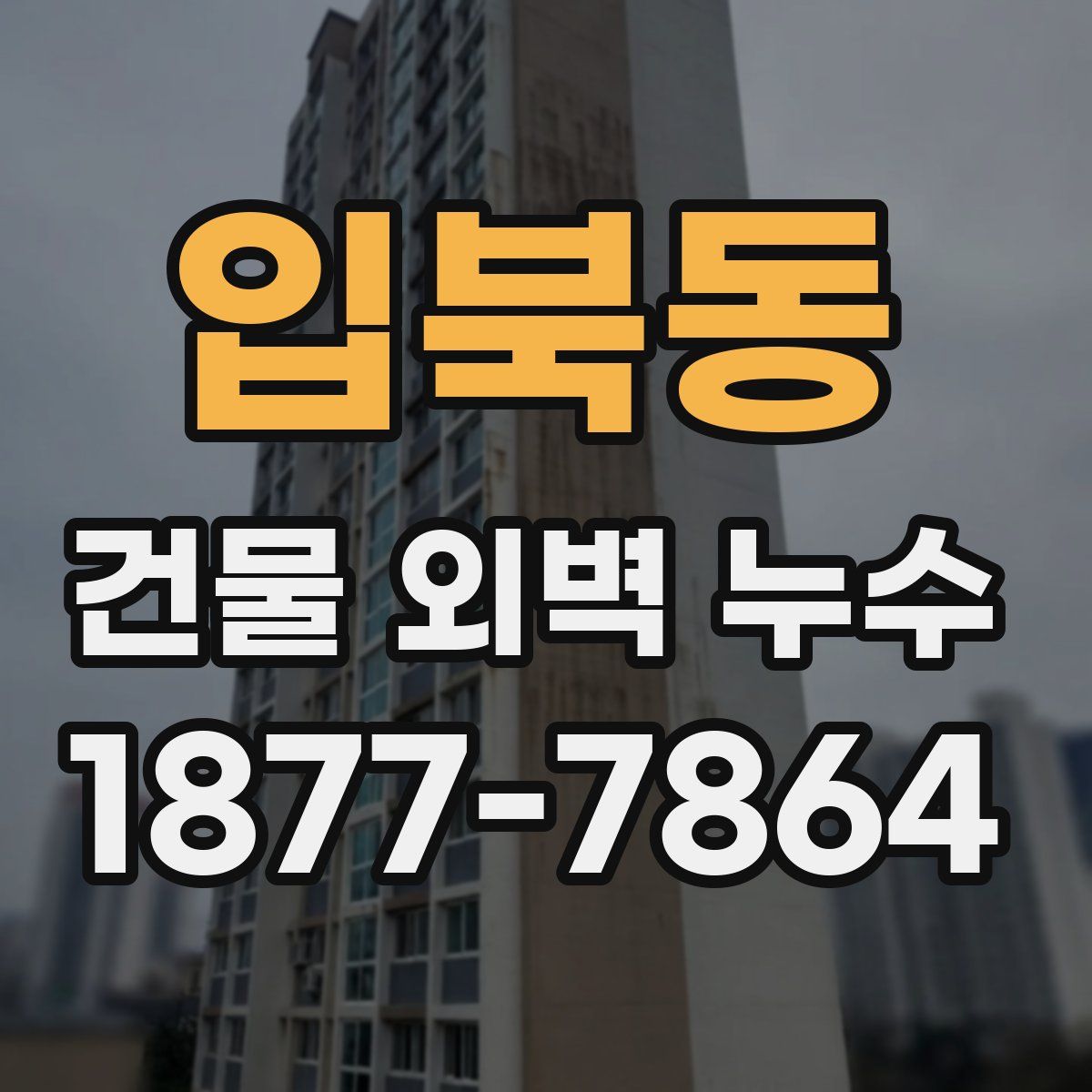 입북동 건물 외벽 누수