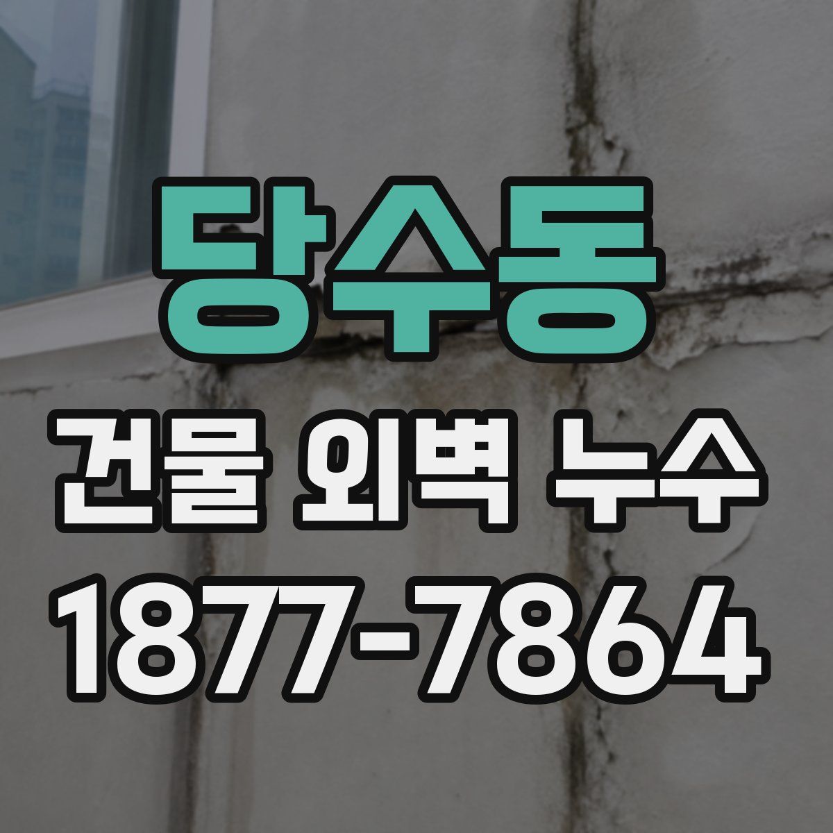 당수동 건물 외벽 누수