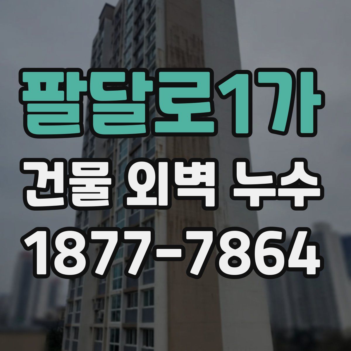 팔달로1가 건물 외벽 누수