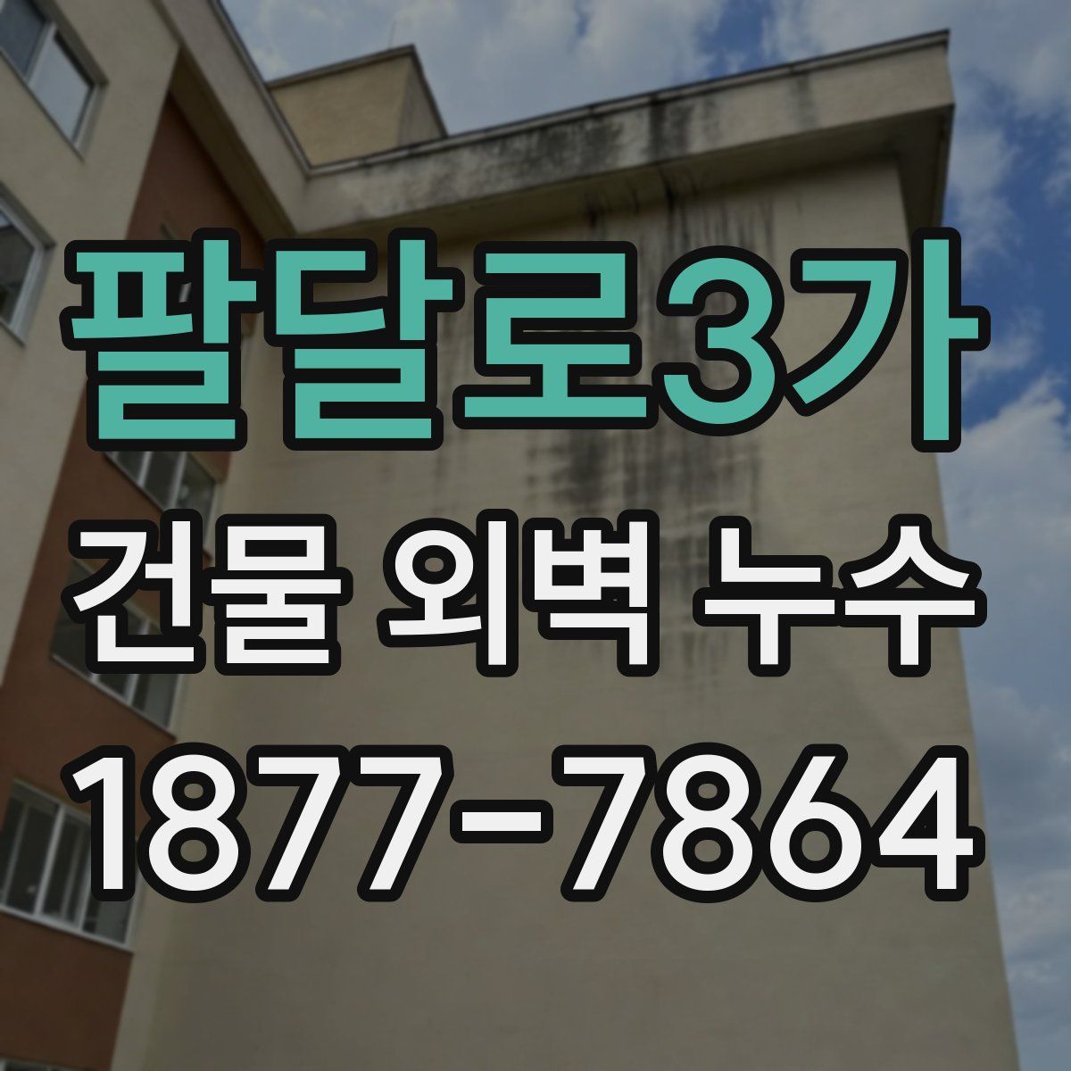 팔달로3가 건물 외벽 누수