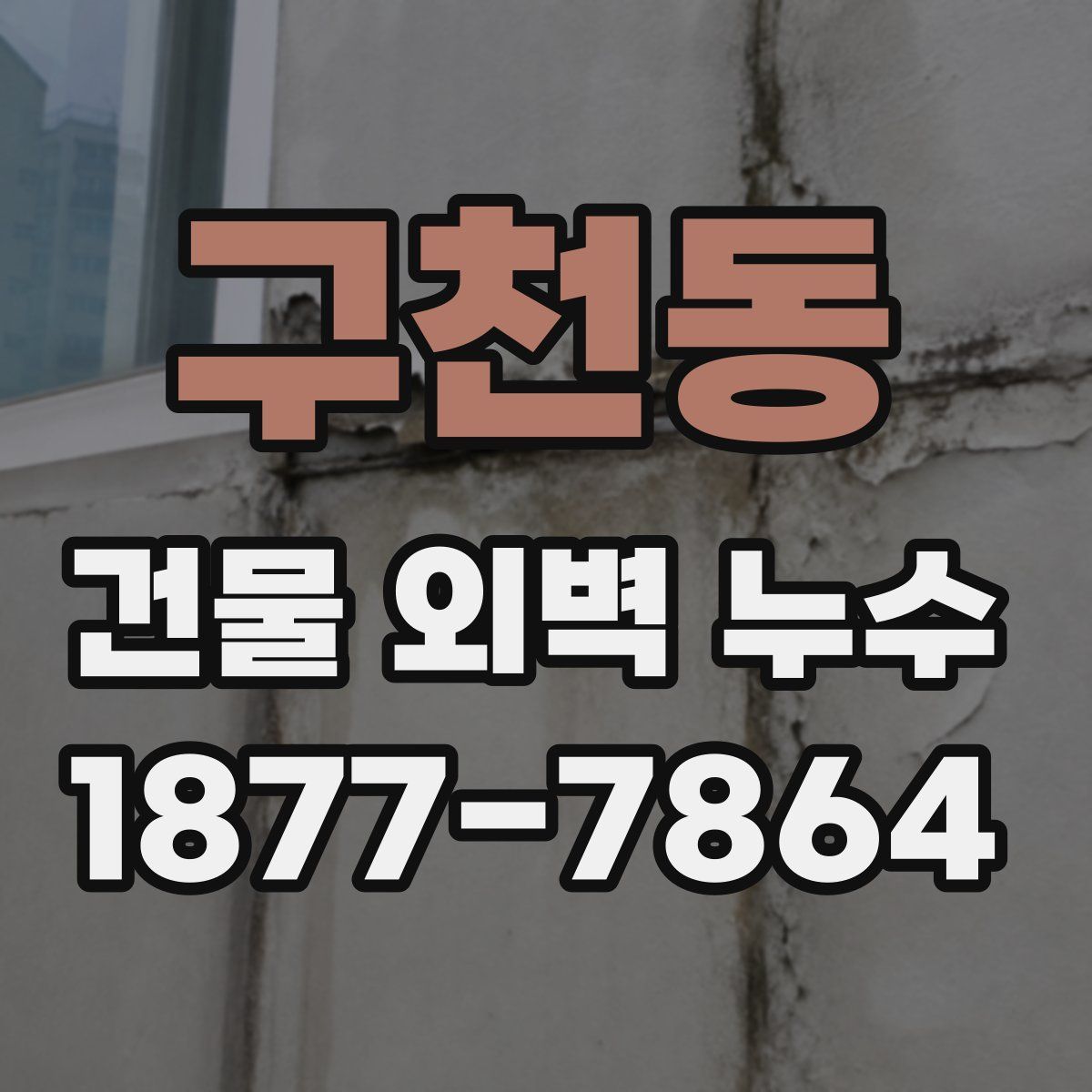 구천동 건물 외벽 누수