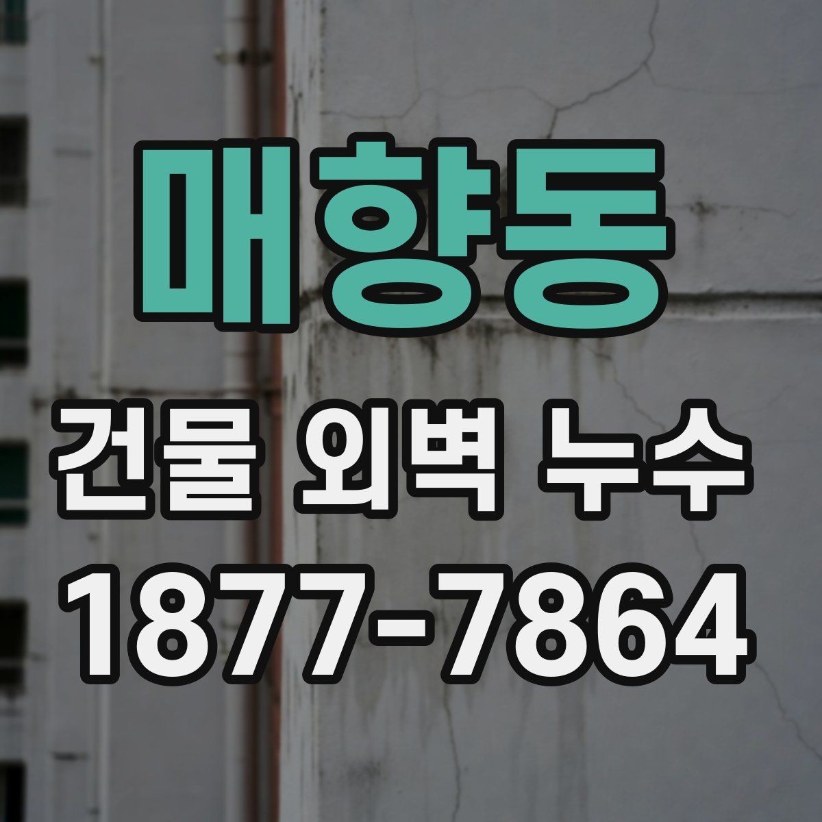 매향동 건물 외벽 누수 보수 후 점검해야 할 마감 상태