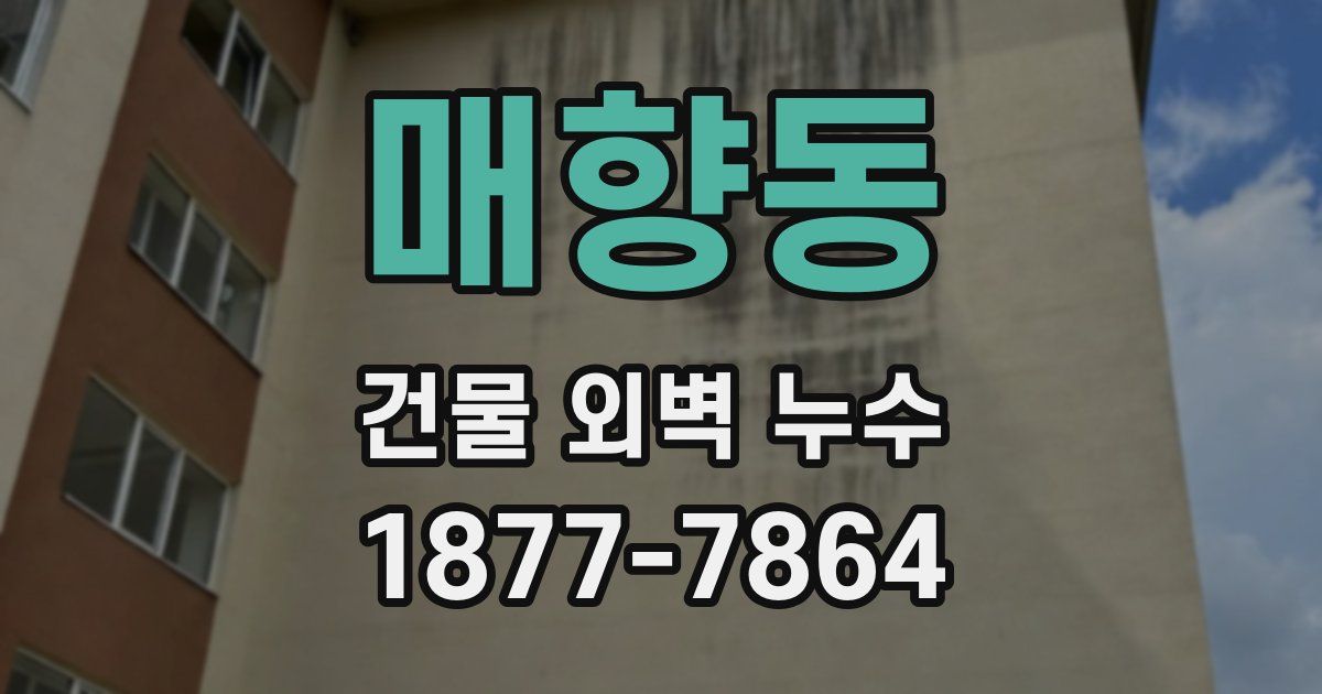 매향동 건물 외벽 누수
