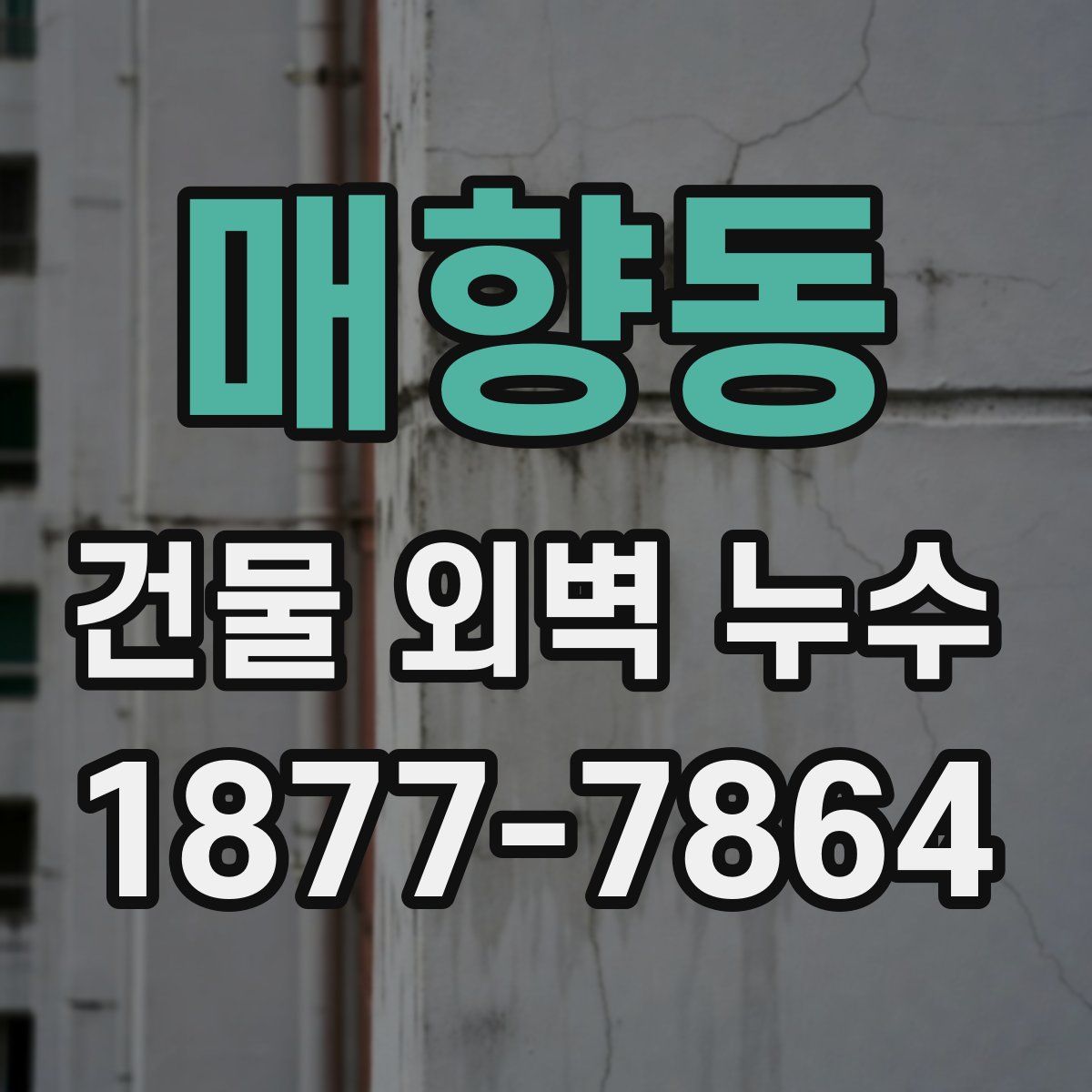 매향동 건물 외벽 누수