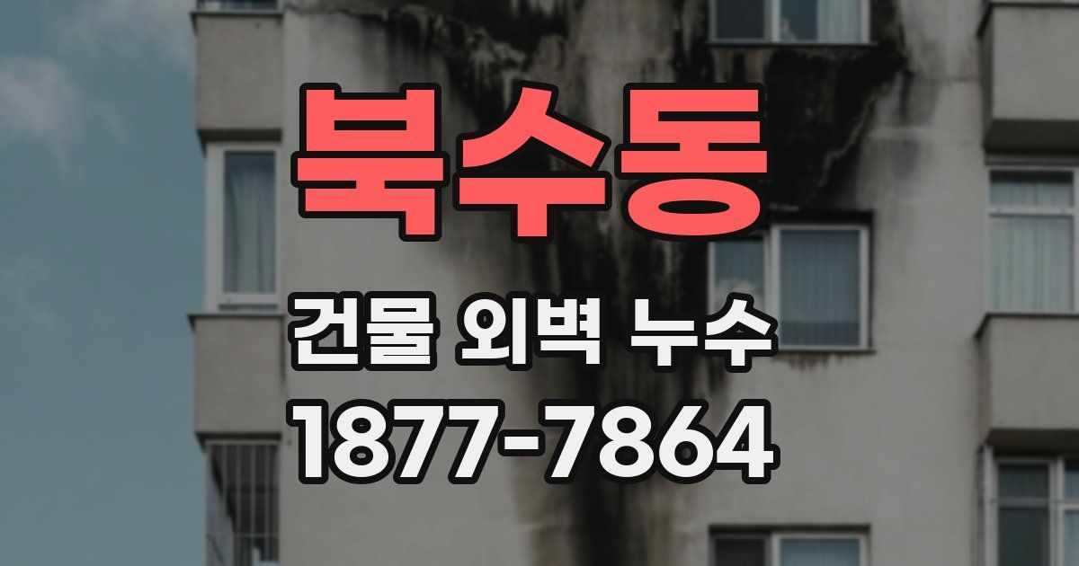 북수동 건물 외벽 누수