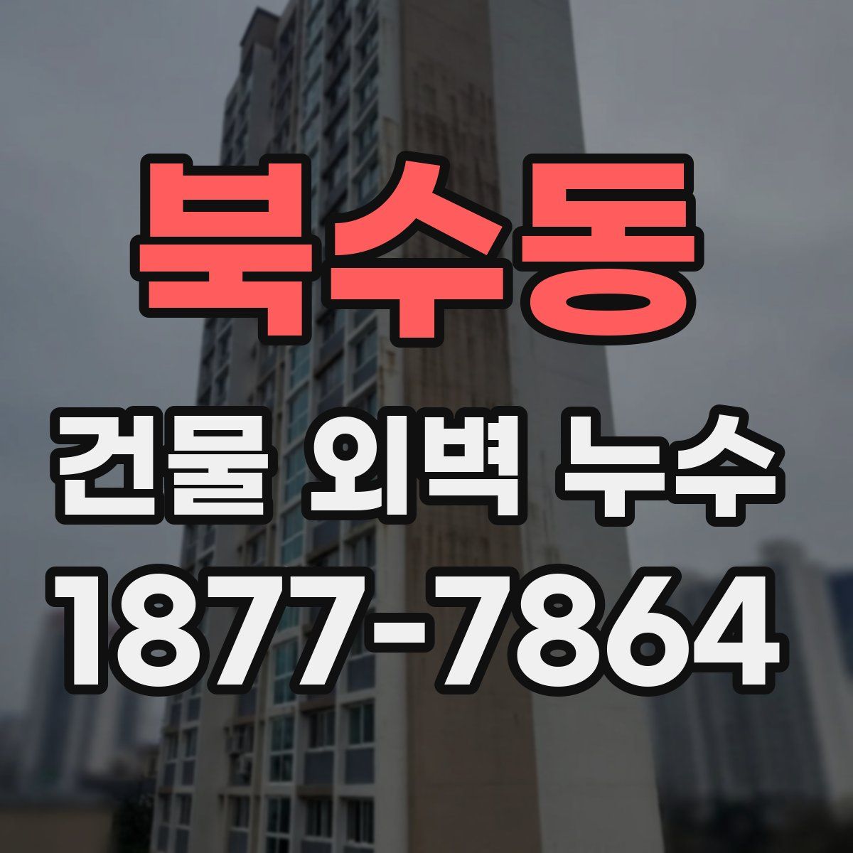 북수동 건물 외벽 누수