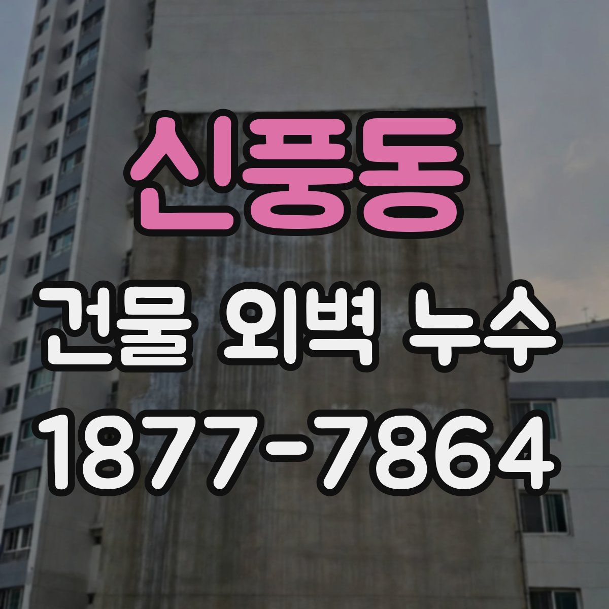 신풍동 건물 외벽 누수