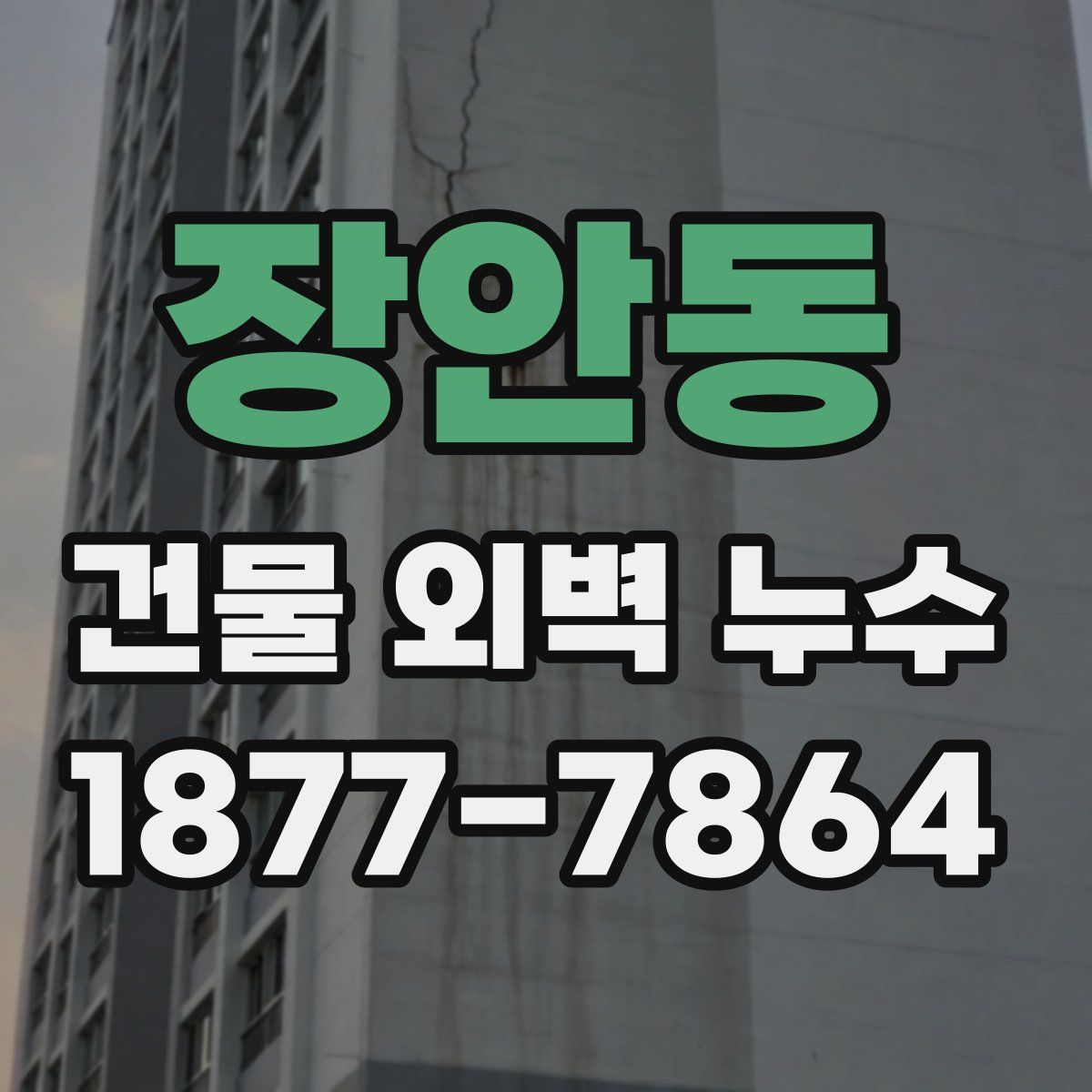장안동 건물 외벽 누수