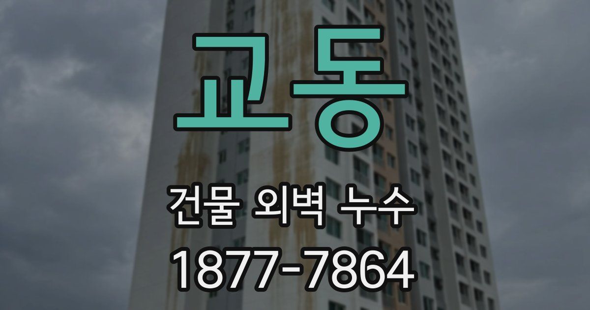 교동 건물 외벽 누수