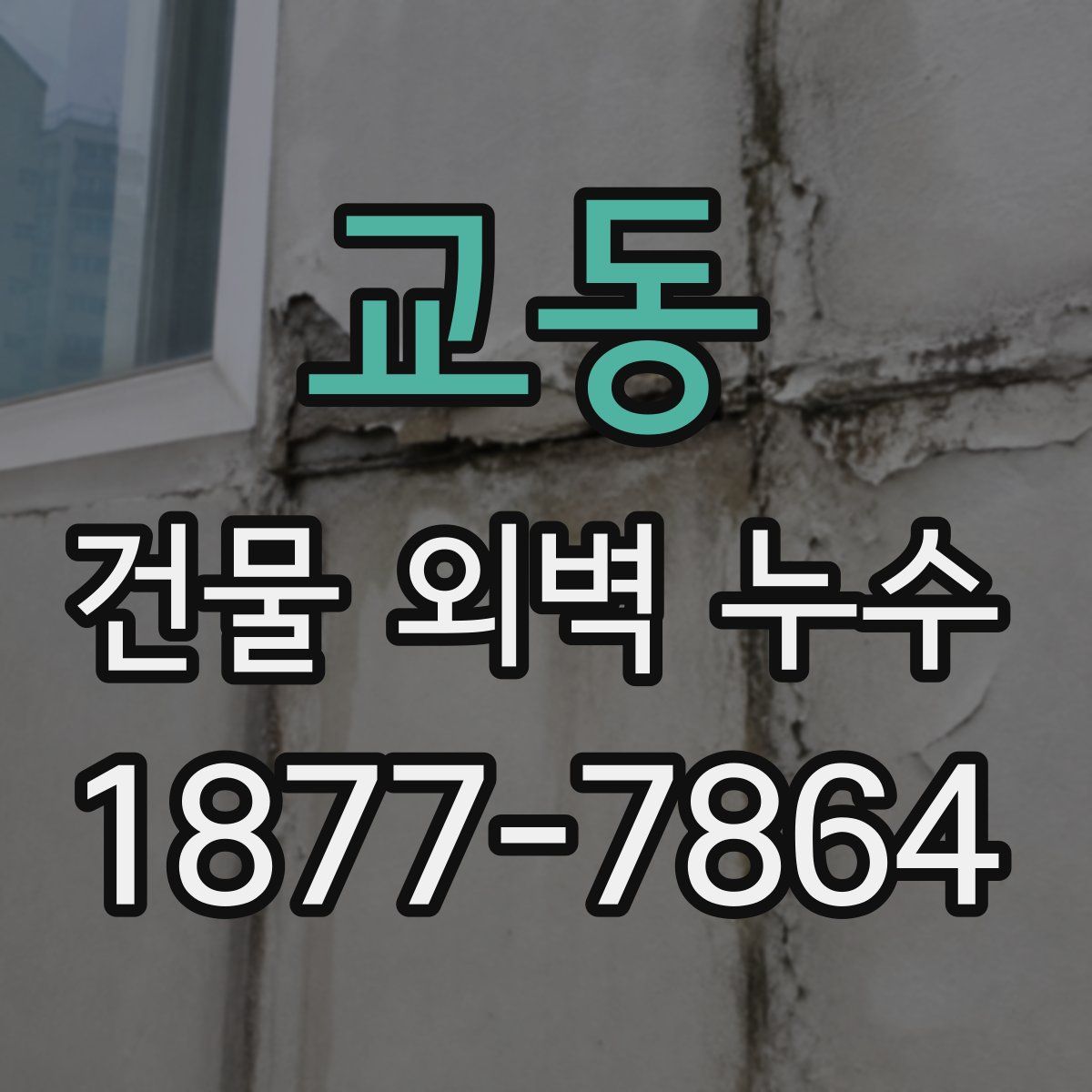 교동 건물 외벽 누수