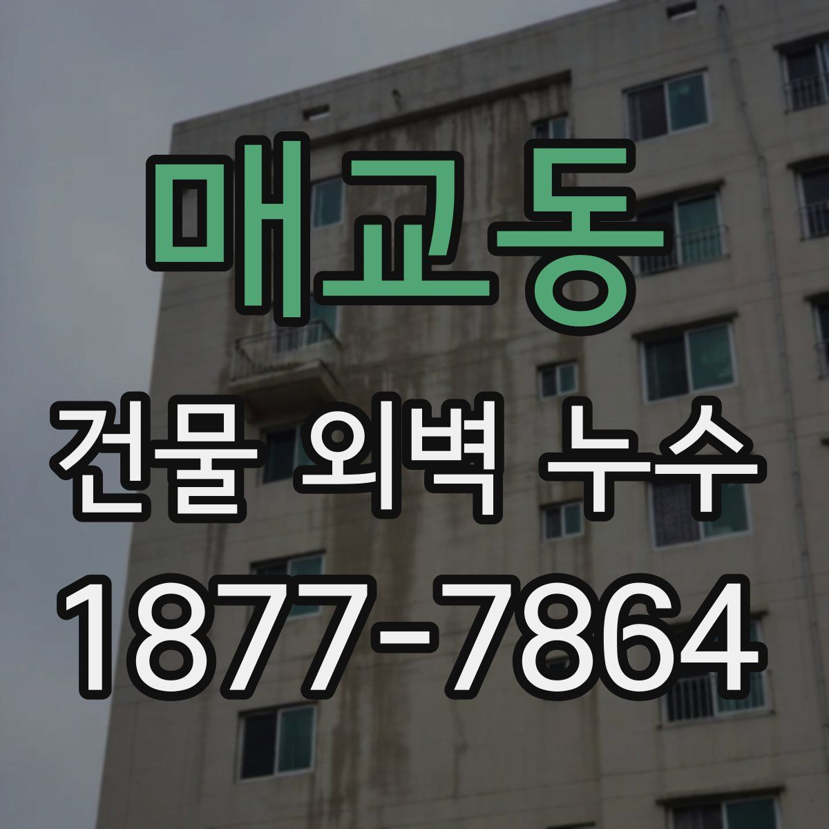 매교동 건물 외벽 누수