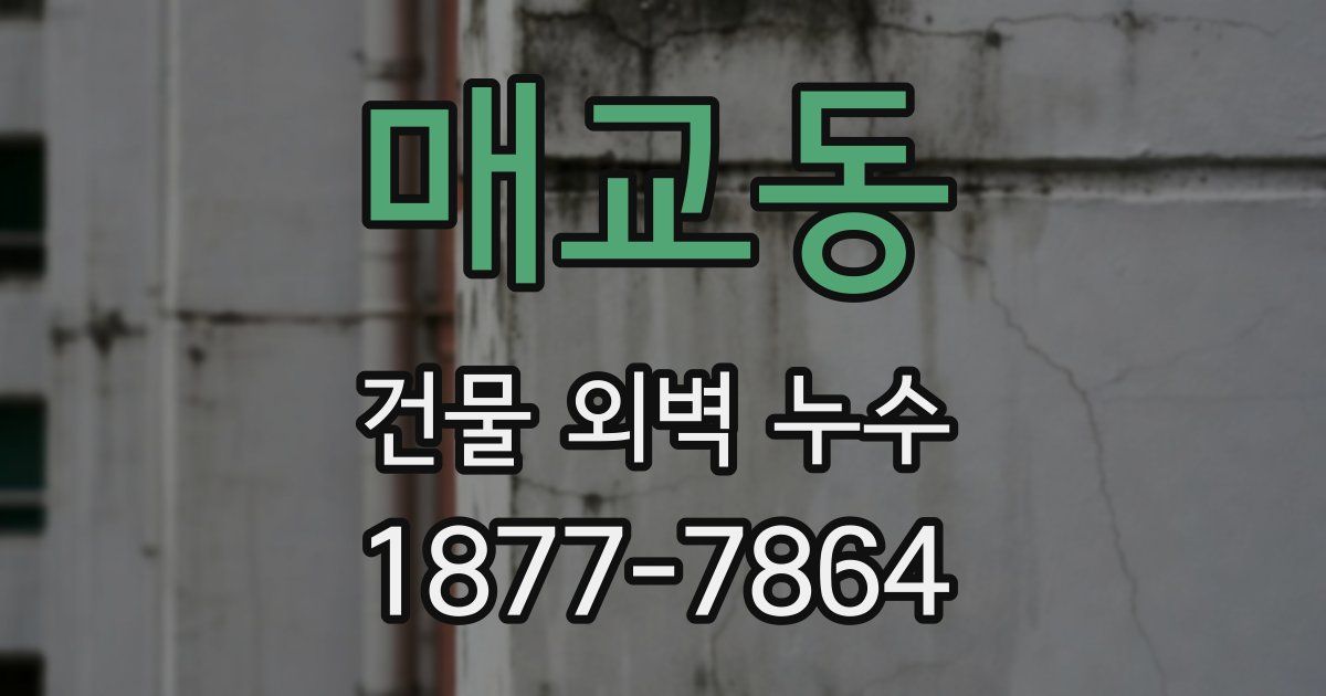 매교동 건물 외벽 누수