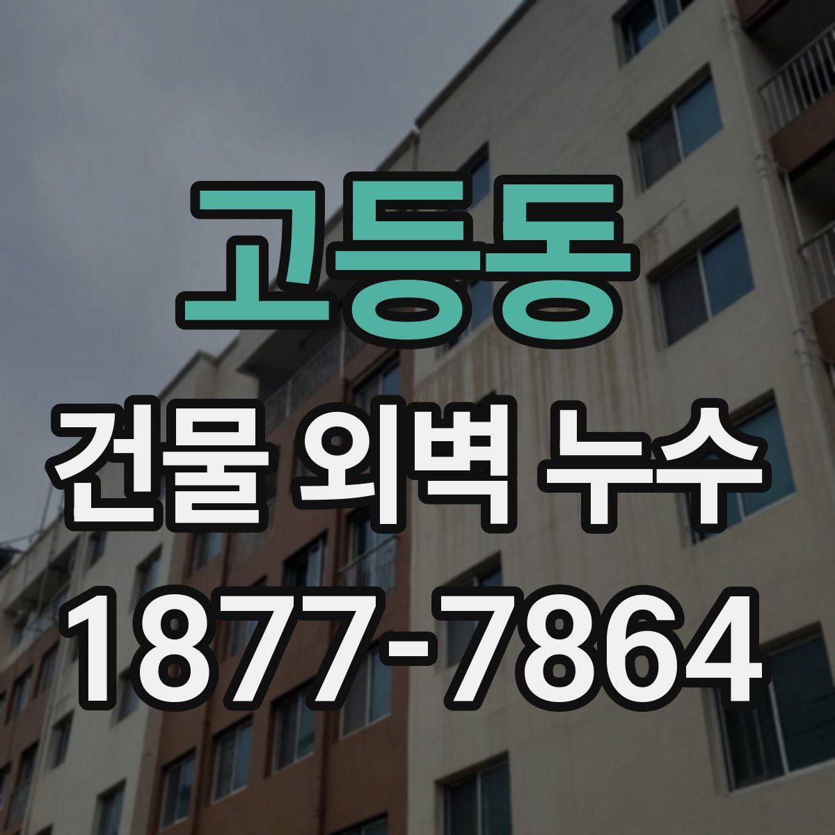고등동 건물 외벽 누수