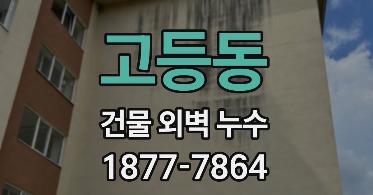 고등동 건물 외벽 누수