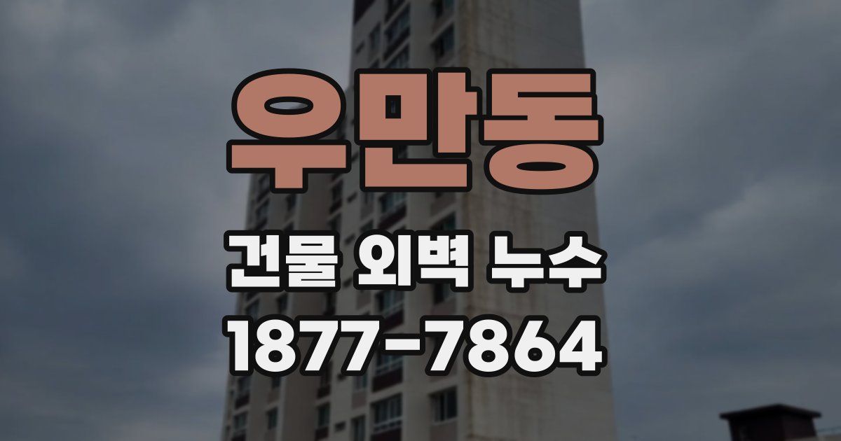 우만동 건물 외벽 누수