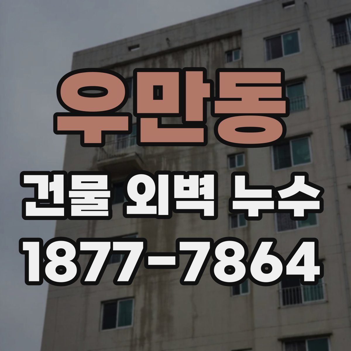 우만동 건물 외벽 누수