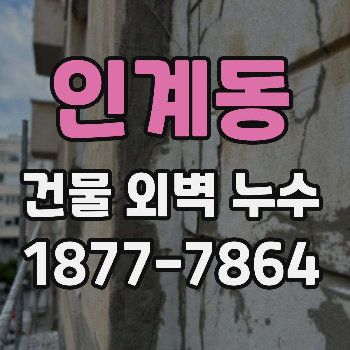 인계동 건물 외벽 누수
