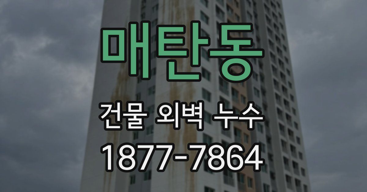 매탄동 건물 외벽 누수