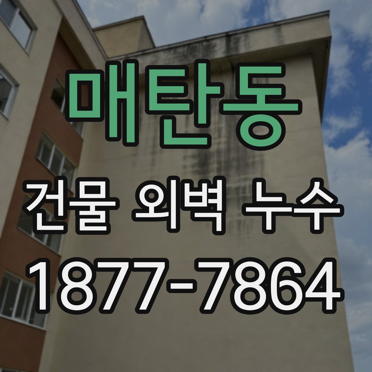 매탄동 건물 외벽 누수