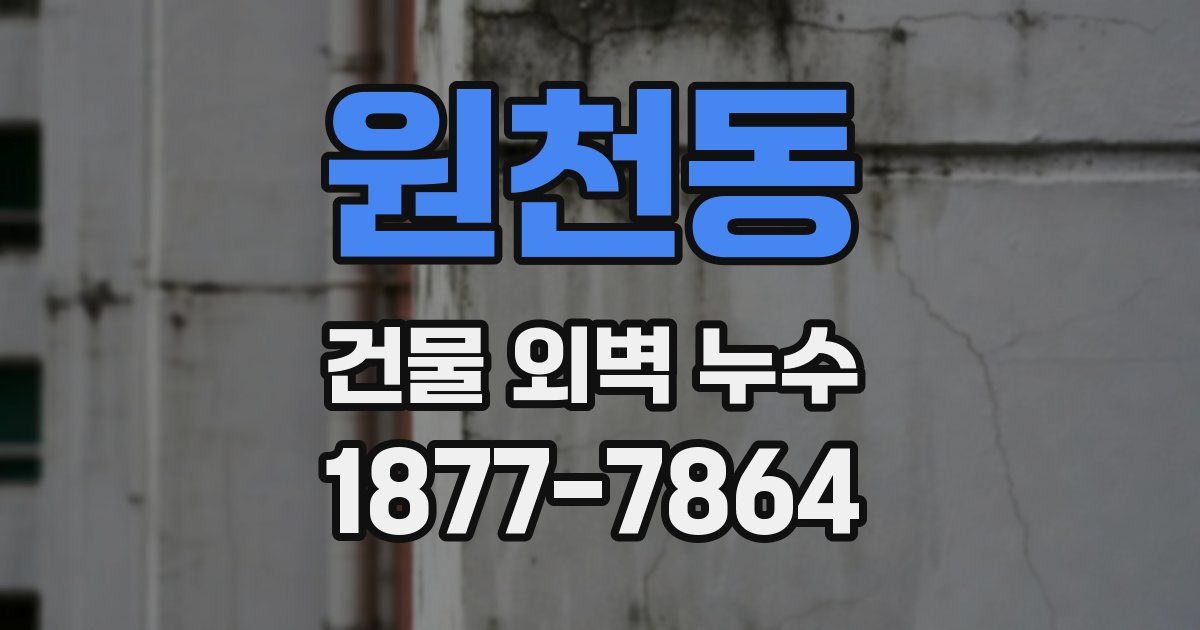 원천동 건물 외벽 누수