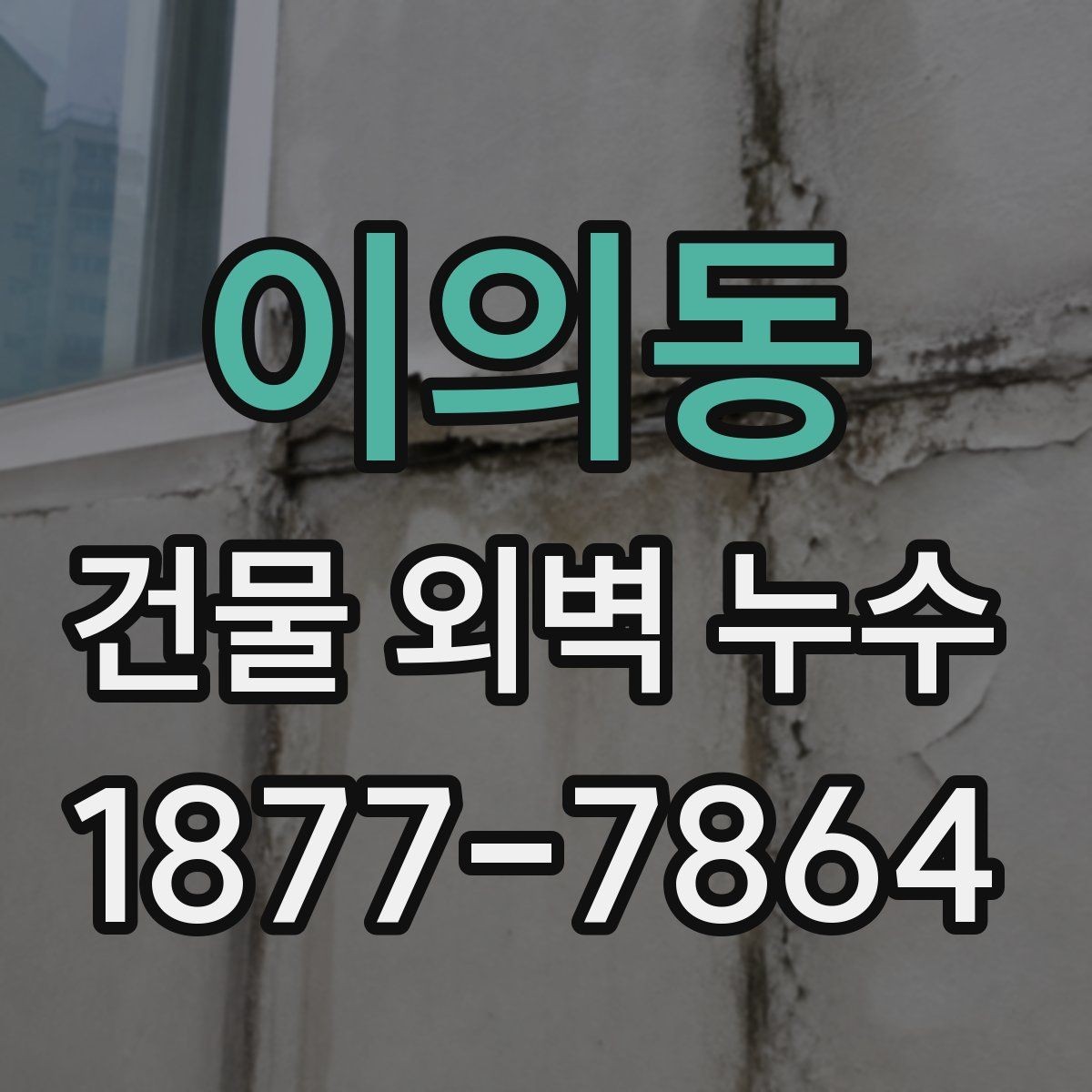 이의동 건물 외벽 누수 예방을 위한 계절별 점검