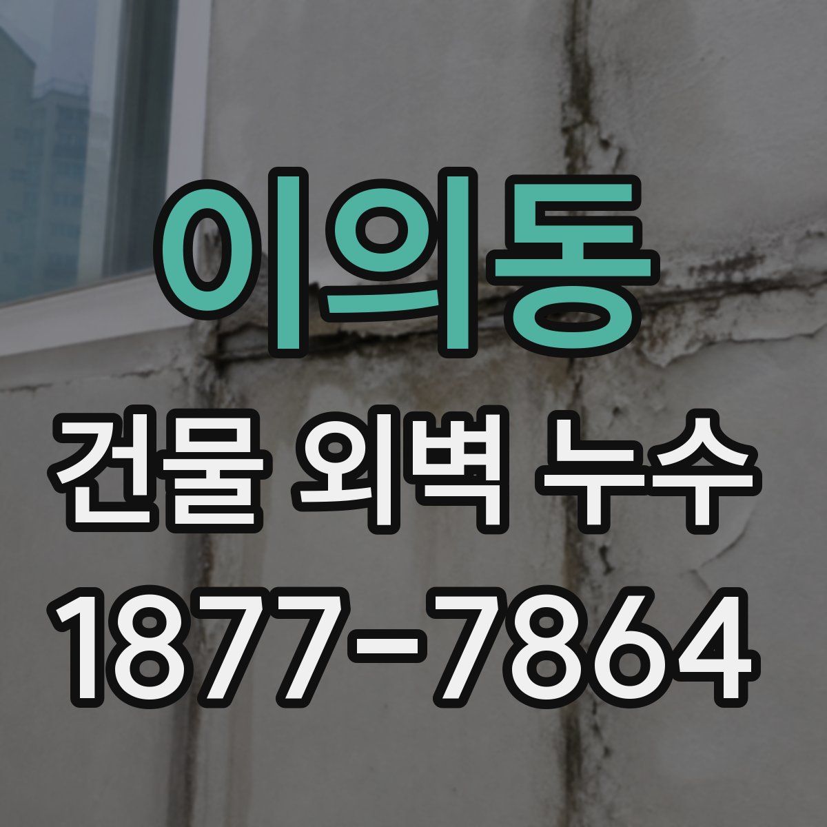 이의동 건물 외벽 누수