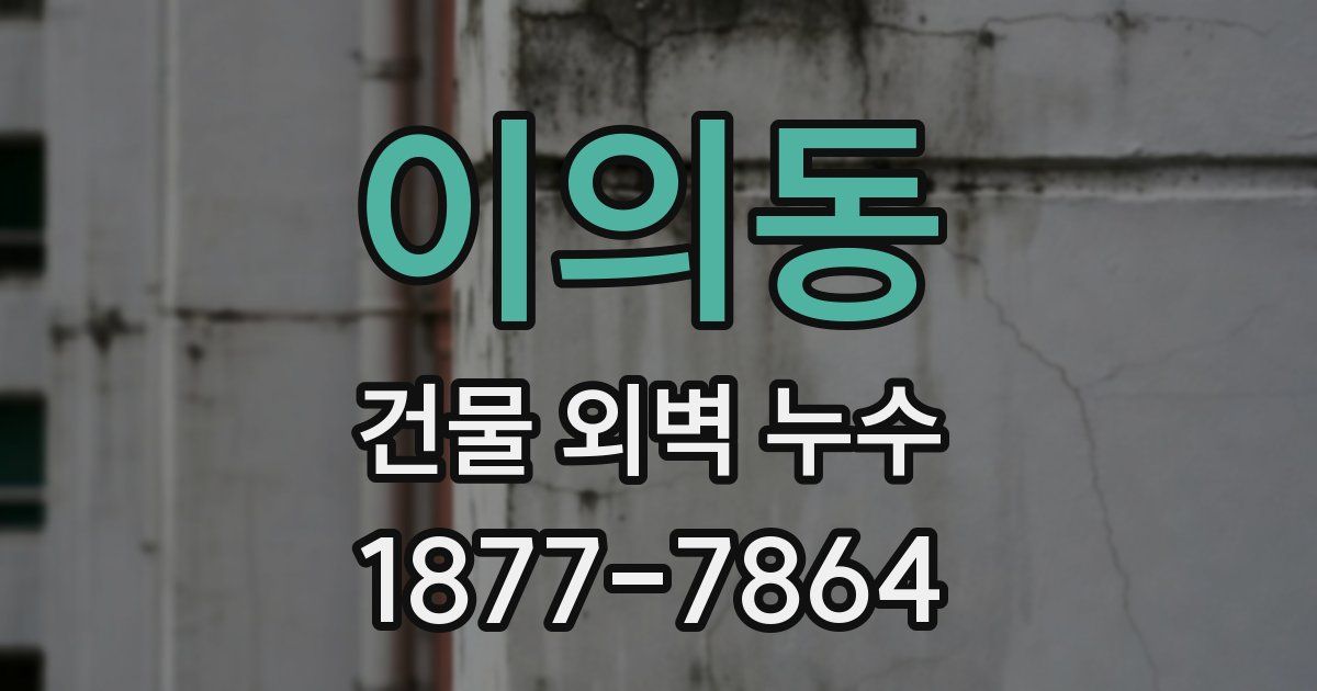 이의동 건물 외벽 누수