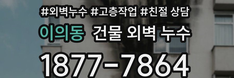 이의동 건물 외벽 누수