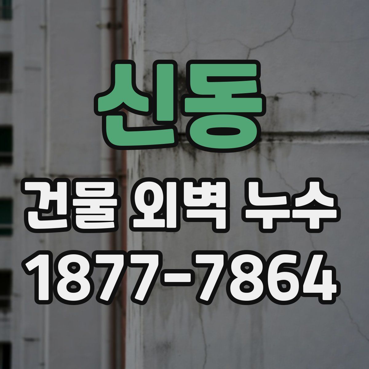 신동 건물 외벽 누수