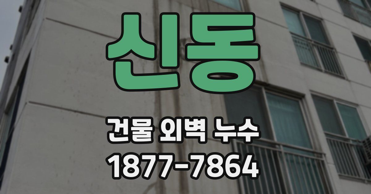 신동 건물 외벽 누수