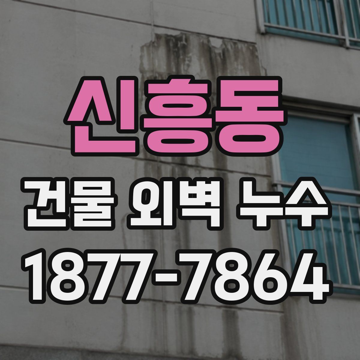 신흥동 건물 외벽 누수