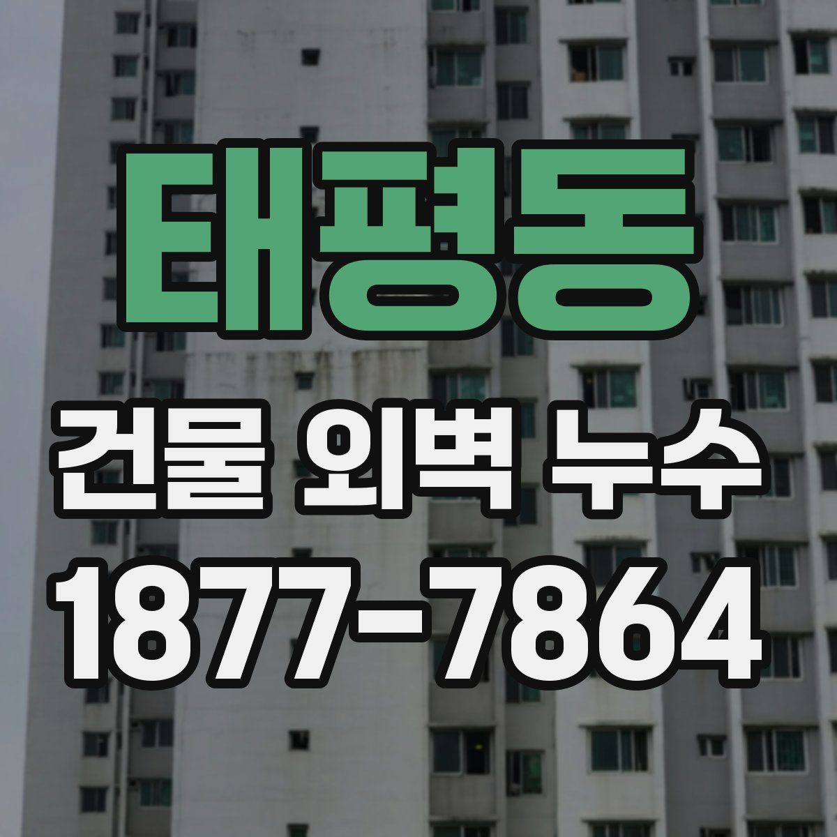 태평동 건물 외벽 누수 발생 시 사진 기록이 중요한 이유