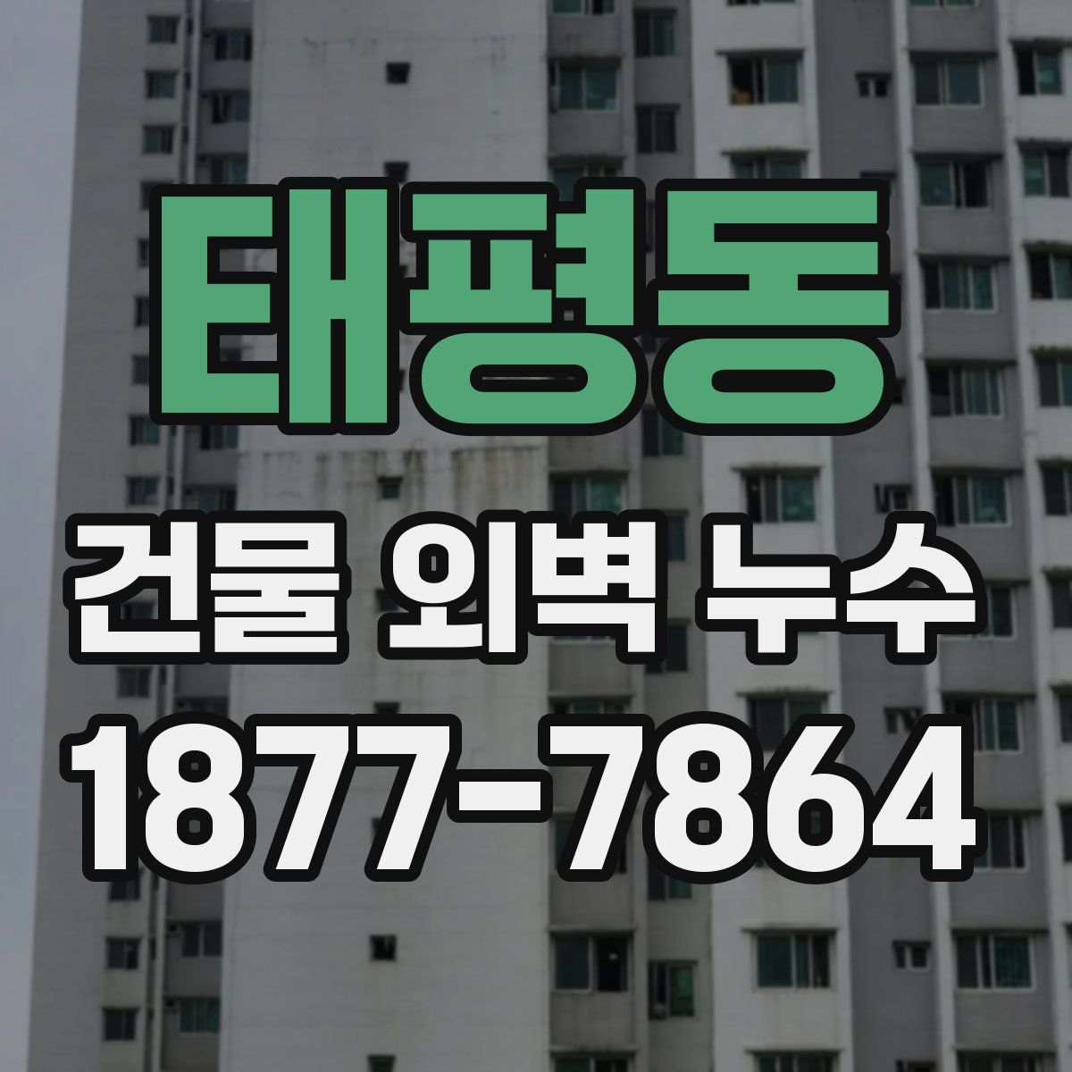 태평동 건물 외벽 누수