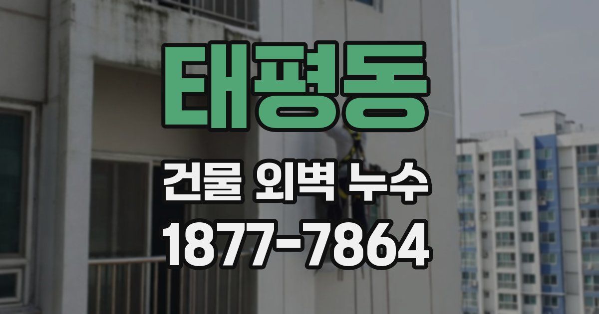 태평동 건물 외벽 누수